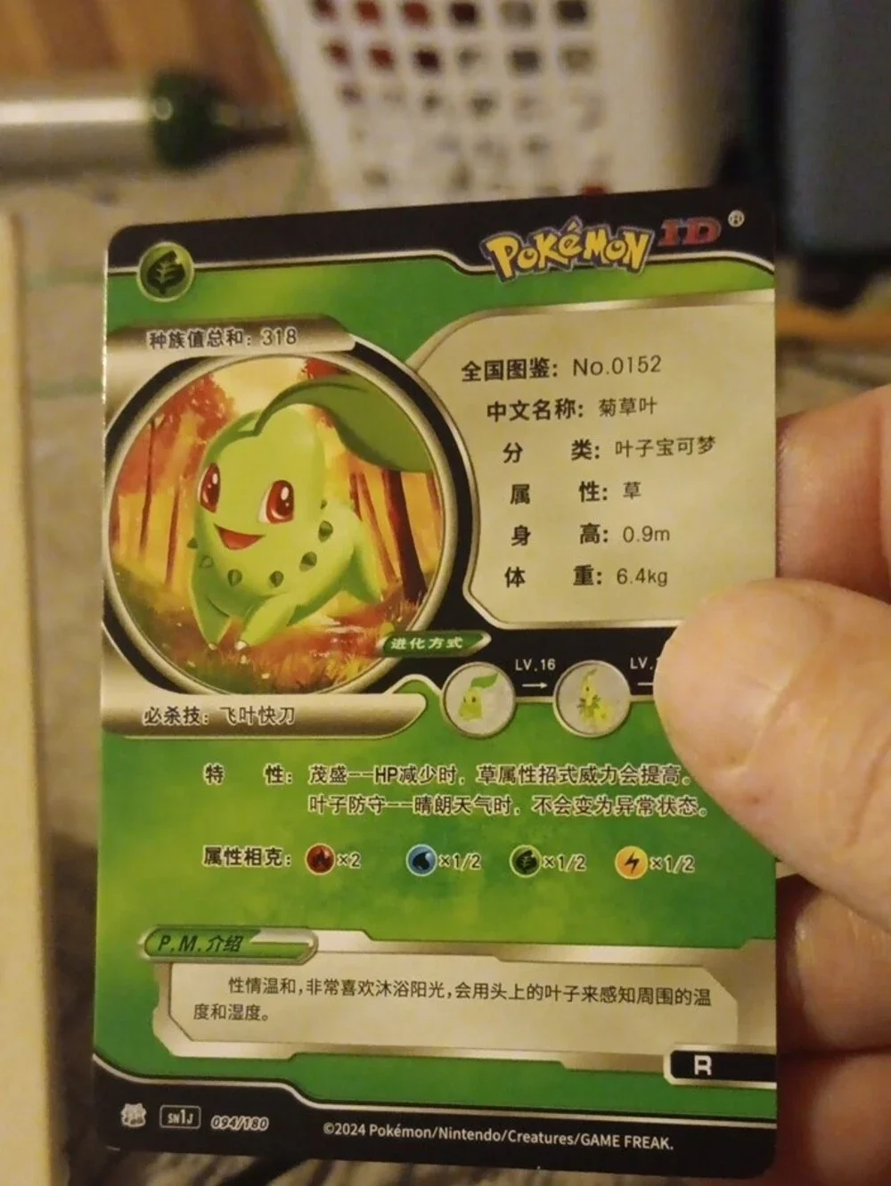 Pokemon Chikorita Holofoil Card - Green